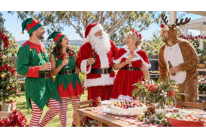Australian adults wearing Santa, Mrs Claus, elf and reindeer costumes at a sunny backyard Christmas party
