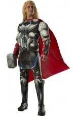 Thor Avengers Costume cl810293
