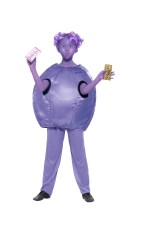 Kids Roald Dahl Violet Beauregarde Wonka Book Week Charlie Chocolate Costume
