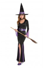 Witchy Witch Adult Costume