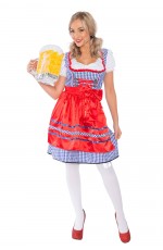 Ladies Beer Maid Wench Costume