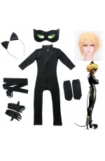 Cat Noir Costume