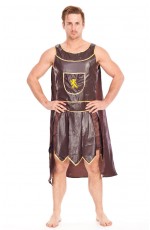 Mens Roman Warrior Gladiator Fancy Dress Costume