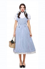 Ladies Wizard of OZ Dorothy Fancy Dress Storybook Hens Party Costume