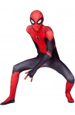 Adult and Boys Classic spider-man spider costume