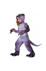 Kids Purple Dinosaur World Costume