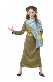 Horrible Histories Boudica Costume 2