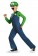 Super Mario Brother Luigi Child Costume ds73692