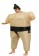 Sumo inflatable costume tt2014 1