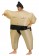 Sumo inflatable costume tt2014 2