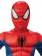 Spider-man Duluxe Kids Costume