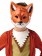 Child Fantastic Mr Fox Costume