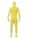 Adult Morph Costume Spandex Body Suit Zentai Green and Gold Australian Flag