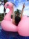 Flamingo Giant Inflatable Water Float Raft Swimming Pool Toy