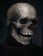 Full Head Skeleton Mask lm117