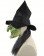 Trick or Treat Studios Halloween Witch Mask Hat Wigs