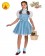 Storybook Licensed The Wizard of Oz Dorothy Child Book Week Dress Costume