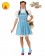 Storybook Licensed The Wizard of Oz Dorothy Adult Ladies Book Week Dress Costume