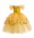 Girls Beauty and the Beast Belle Costume