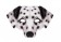 Animal Dalmatians Dog Mask