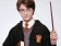Harry Potter Magic Stick Magical Wand Cosplay Christmas Halloween Costume Accessories