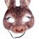 Animal Rabbit Mask