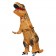 Brown Child T-Rex Blow up Dinosaur Inflatable tt2001nkidbrown-4