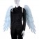 Large Black White Rainbow Angel Fairy Wings