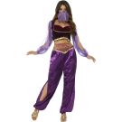 Women's Arabian Princess costume with purple satin harem pants, burgundy velvet bodice and sheer lavender veil