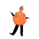 Kids Roald Dahl James And The Giant Peach Costume Boys Girls Book Week Fruits - alternate view