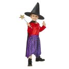Kids Julia Donaldson Room On The Broom Costume cs51523