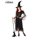 Womens black witch costume full length dress with silver bodice and spider web lace sleeves