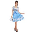Adult Bavarian Beer Maid Costume front lh330