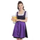 Traditional German Oktoberfest costume with full skirt and apron overlay