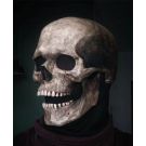Realistic skeleton mask showing anatomical cranial detail and aged patina