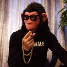 Adult monkey mask with black mohawk and pixelated sunglasses