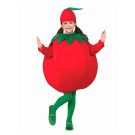 Child wearing red padded tomato costume with green leaf collar and pointed hat