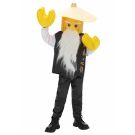 Kids Wise Sensei Ninja Costume with Conical Hat and Oversized Gloves - alternate view