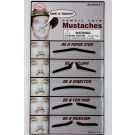 Adult fake moustache set with five pencil-thin self-adhesive styles on white background