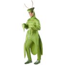 Praying Mantis Costume tt3114