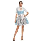 Adult womens blue dirndl Oktoberfest costume with white lace blouse and floral apron front view