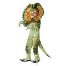 Kids Triceratops Dinosaur Costume tt3165