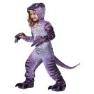 Kids Spinosaurus Purple Dinosaur Costume vb4016