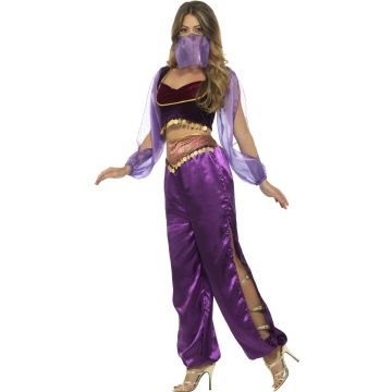 Women's Arabian Princess Costume - Purple Harem Outfit with Veil