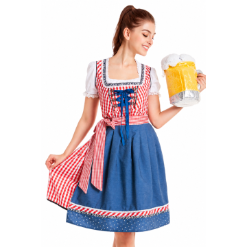 Womens Bavarian Beer Maid Dirndl Costume with Apron and Blouse