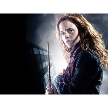 Hermione Granger Magic Wand - Official Harry Potter Vine Wood Replica