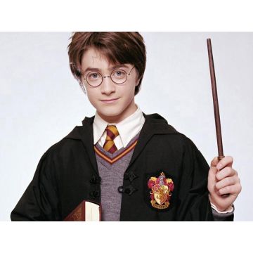 Harry Potter Magic Stick Magical Wand Cosplay Christmas Halloween Costume Accessories