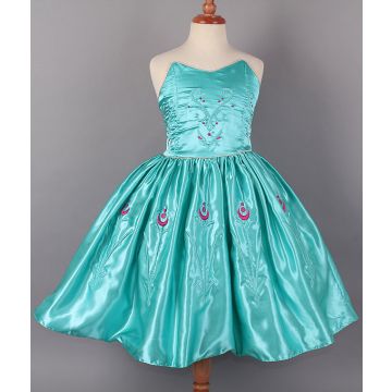 Frozen Costumes - Girl Dress Disney Frozen Elsa Party Birthday Fancy Costume Dress