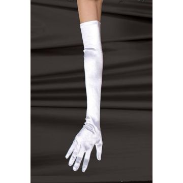 Adult 1920s Flapper Accessory Set - 6-Piece Gatsby Costume Kit with Headband Gloves Pearls