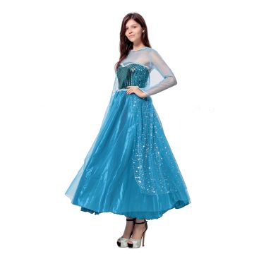 Ladies Snow Queen Princess Dress Costume
